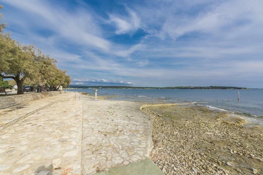 Apartment Lion Novigrad Istria Extérieur photo